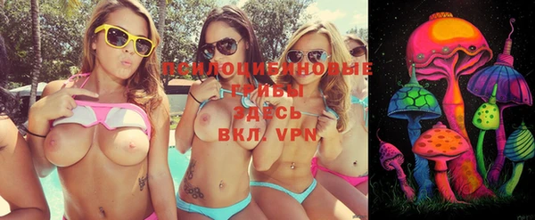 тгк Абинск