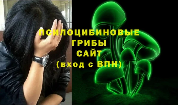 крисы Алексин