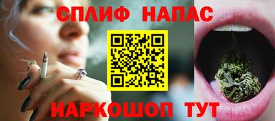 СК Волгодонск