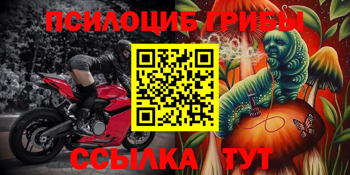 Бийск  Галлюциногенные грибы мухоморы  Вход с VPN 